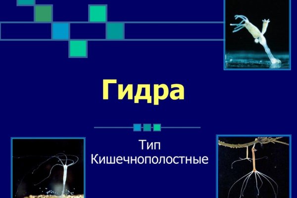 Кракен что там продают