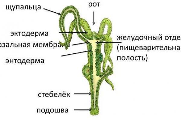 Почему сегодня не работает площадка кракен