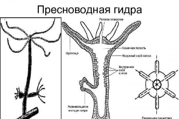 Как зайти в кракен с андроида